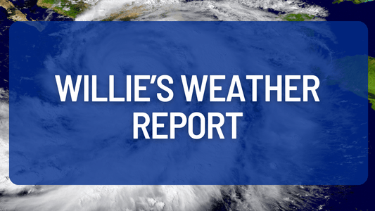 Introducing Willie's Weather Report!