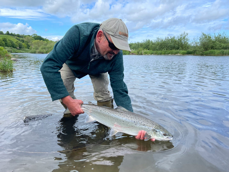 Salmon and Trout