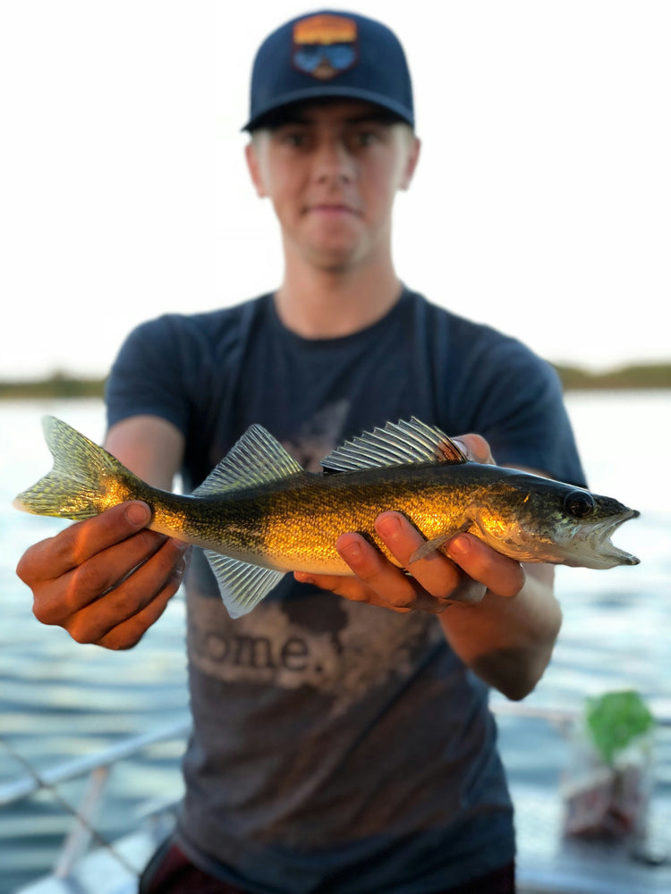 Walleye